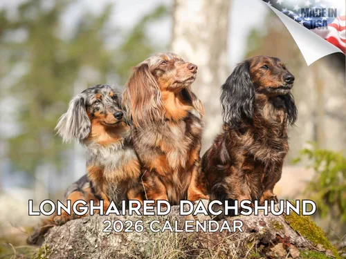 Miniatura 8 de Calendario 2025 2026 de cachorros Cocker Spaniel - Calendario mensual de pared de raza de perro - 12" x 24" abierto - Papel grueso sin sangrado
