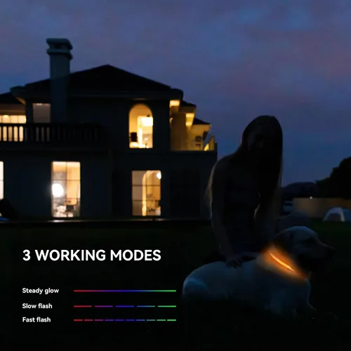 Miniatura 6 de Collar de perro recargable con luces LED para la noche, collar de perro que brilla en la oscuridad, impermeable, collar ajustable con luz