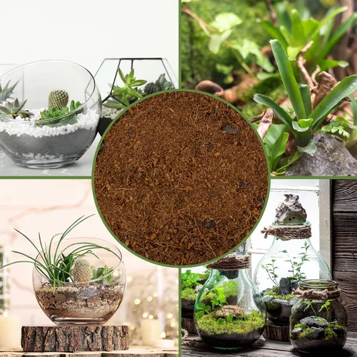 Miniatura 6 de Soil Sunrise Mezcla de tierra para macetas de terrario (8 cuartos de galón) con carbón filtrado mezclado hecho a medida para terrarios
