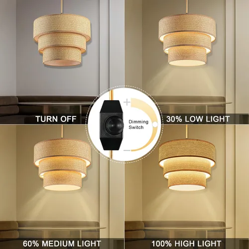 Miniatura 3 de Lámpara colgante enchufable, lámpara colgante con interruptor regulable, accesorios de luz colgante con cable de 15 pies, luz colgante con pantalla