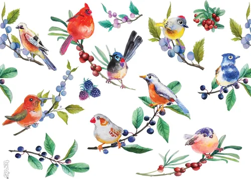 Miniatura 2 de Taza aislada Tervis Watercolor Songbirds de doble pared hecha en Estados Unidos mantiene las bebidas frías y calientes, 24 onzas, transparente
