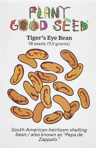 Miniatura 8 de Plant Good Seed Semillas orgánicas de frijol dragón para plantar: vegetales de arbusto de reliquia, vainas blancas y moradas - Paquete de 18 semillas