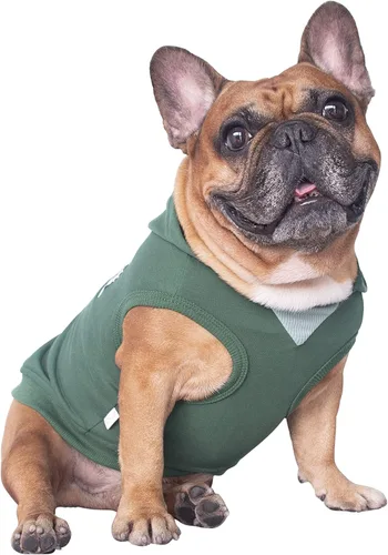 Miniatura 9 de iChoue - Disfraces para perros, I am a French Bulldog, suéteres divertidos, abrigos de invierno, sudaderas con capucha, Frenchie Pitbull Corgi, Pug