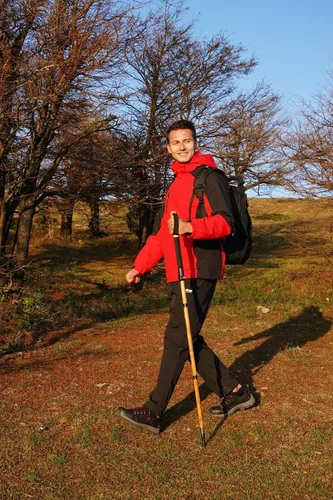 Miniatura 5 de FOREST PILOT Bastón de trekking – 1 unidad de madera de sasafrán ajustable y desmontable para senderismo o bastón