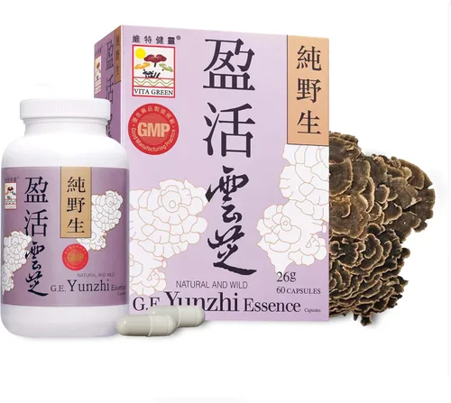 Cápsulas de hongos de cola de pavo – Esencia de Yunzhi para la recuperación, la salud y el bienestar – Apoyo diario inmune y digestivo con