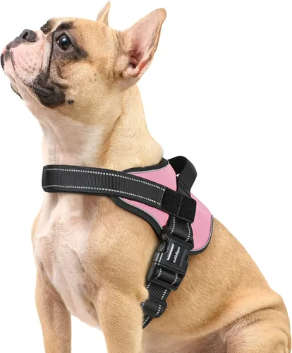Miniatura 21 de rabbitgoo Arnés para perro de tamaño pequeño, chaleco para mascotas sin tirones, sin estrangulamiento, fácil de llevar con una hebilla, reflectante
