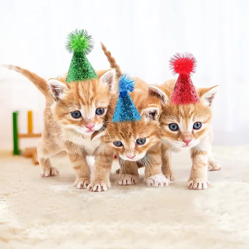 Miniatura 9 de PET SHOW 10 piezas de sombreros pequeños para perros pequeños, sombrero de fiesta de cumpleaños de gato, sombreros de conejo para vacaciones, boda