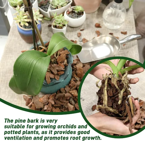 Miniatura 3 de 3 cuartos de corteza de orquídea orgánica para macetas - Mantillo natural de orquídea para plantas en maceta, desarrollo de raíces de plantas