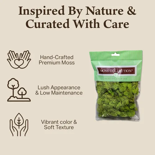 Miniatura 3 de Quality Growers - Musgo de reno preservado - Musgo para manualidades, decoración del hogar, arte, diseño y proyectos de bricolaje - No tóxico