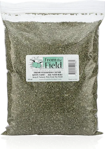 from The Field Hierba gatera sin tallo de tierra fina | Hierba gatera prémium cultivada en Estados Unidos para juguetes y tiempo de juego | Fresca,