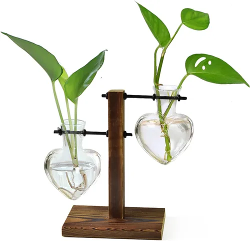 HUABEI - Terrario con soporte de madera para plantas, globo de cristal para maceta, jarrón giratorio de metal, soporte de mesa retro para