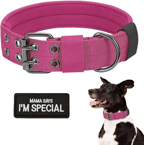 Miniatura 12 de Collar táctico para perro con asa – Collar de entrenamiento de nylon ajustable militar para perro con hebilla de metal resistente para perros Verde-1