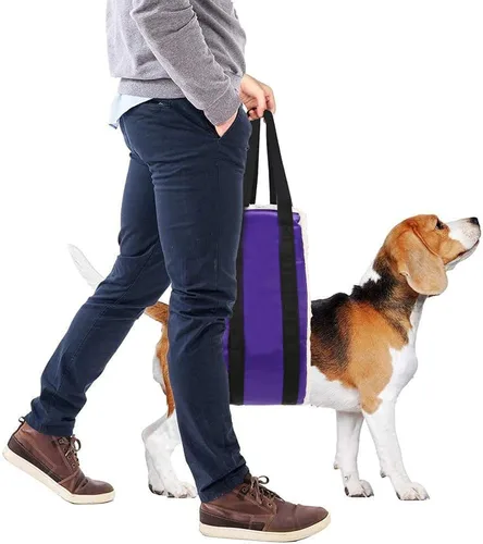 Miniatura 7 de Arnés de elevación para perros grandes, de 30 a 120 libras, arnés de elevación para patas traseras, ayuda a mascotas mayores con movilidad reducida
