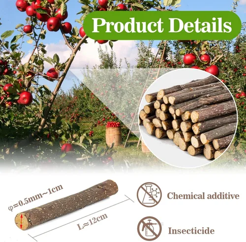 Miniatura 2 de Sukh Palitos de manzana orgánicos naturales - 250g Palos de masticación para hámster, conejo, cobaya, jerbo, ardilla, chinchilla y otros animales