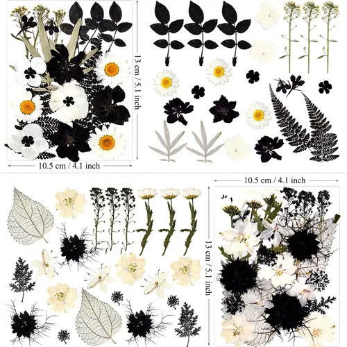 Miniatura 5 de MIKIYA 90 piezas de flores secas prensadas negras para moldes de resina, hojas florales secas a granel naturales reales para manualidades de arte