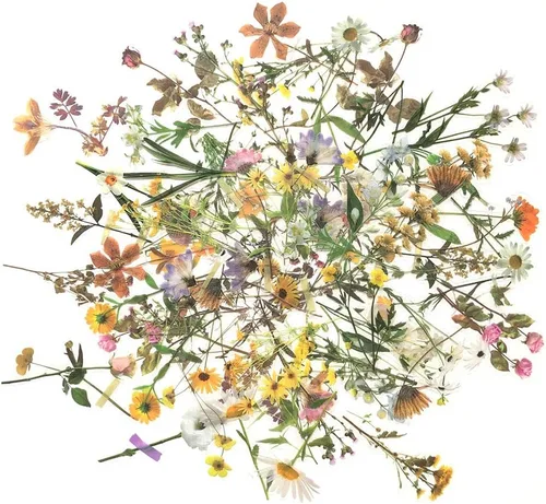 Miniatura 8 de Calcomanías de mariposa (18 hojas/más de 500 piezas) coloridas holográficas con purpurina para PET, calcomanías transparentes para álbumes