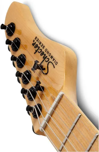 Miniatura 5 de Schecter Guitarra eléctrica PT (negro brillante)