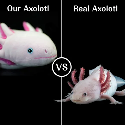 Miniatura 2 de Tiny Heart Peluche de Axolotl, animal de peluche, bonito juguete de peluche realista con ambistoma, regalos para niños, 18 pulgadas de largo