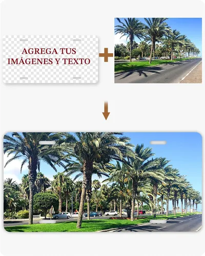 Miniatura 7 de Placa de Matrícula Delantera Personalizada, Placa de Matrícula Personalizada para la Parte Delantera del Coche con Imagen y Texto, Diseños de Placa