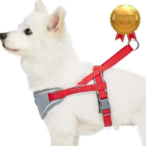 Miniatura 2 de Blueberry Pet Arnés acolchado para perro, 8 colores, suave y cómodo, tiras reflectantes 3M, contorno de pecho de 30 a 38.5 pulgadas, rojo, grande