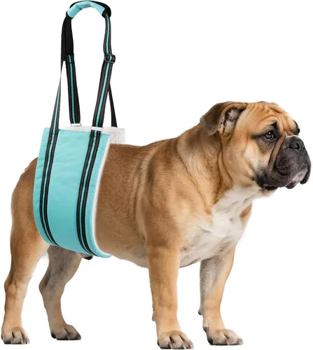 Miniatura 8 de AIITLE Eslingas mejoradas para perros pequeños – Arnés de soporte para patas traseras y cadera, ayuda de elevación de rehabilitación súper suave