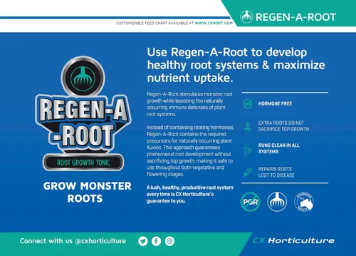 Miniatura 4 de Regen-A-Root - Estimulador de raíces sin hormonas para plantas Promueve el crecimiento explosivo de raíces en etapas vegetativas y de floración