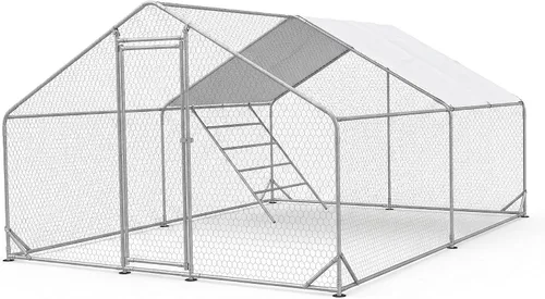 CHIKENCOOP Gallinero de metal grande de 9.8 x 9.8 x 6.5 pies, corral para aves de corral al aire libre para 6 a 10 pollos, jaula de pato resistente
