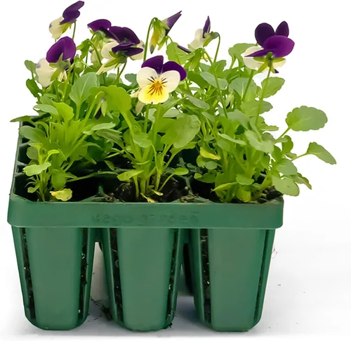 Vego garden Bandejas de plántulas estándar sin tapa, paquete de 8 para plántulas, bandeja de inicio de cultivo reutilizable, kit de bandejas de