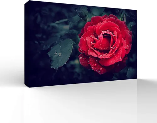 Miniatura 12 de wall26 Canvas Wall Art Beautiful Flowers Pictures Home Wall Decorations for Bedroom Living Room Paintings Canvas Prints Framed - 32x48 inches