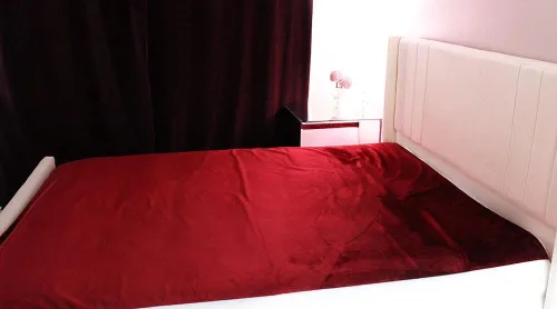Miniatura 4 de Almohadilla de cama 100% impermeable a prueba de manchas – Masaje para parejas – Ultra suave, silencioso y protector de sábanas de lujo con lados