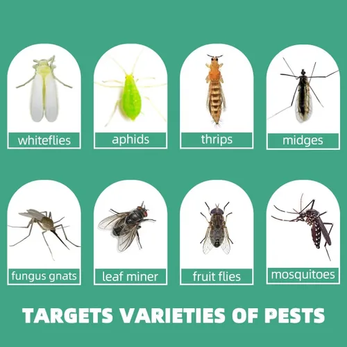 Miniatura 5 de Innovadoras trampas para mosquitos de hongos amarillos 2.0, más fáciles de usar, sin tocar pegamento ni insectos, 36 trampas, especies objetivo