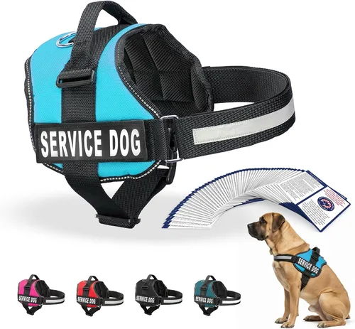 Miniatura 20 de Arnés Industrial Puppy para perros con correas y asa, y chaleco con parche reflectante, en un cómodo diseño de malla, Bright Red 2-Rojo Brillante