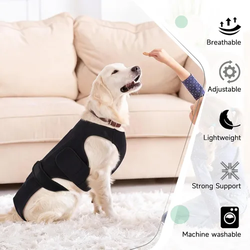 Miniatura 7 de Soporte de espalda para perros con artritis, soporte de espalda de movilidad IVDD para mascotas, fuerte apoyo de estabilidad de la columna vertebral