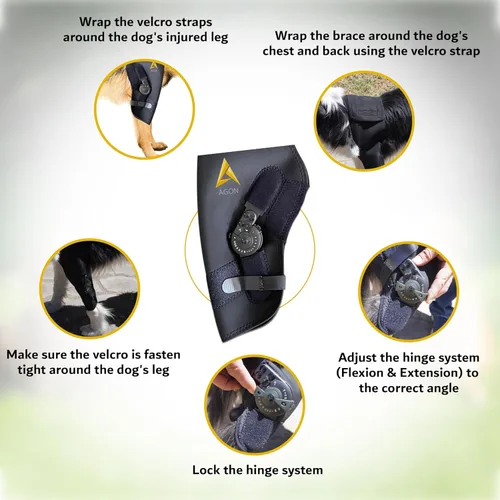 Miniatura 4 de AGON Codera para perro para soporte de codo - Estabilizador de bisagra ajustable protector de codo para perro - Soporte de codo de neopreno