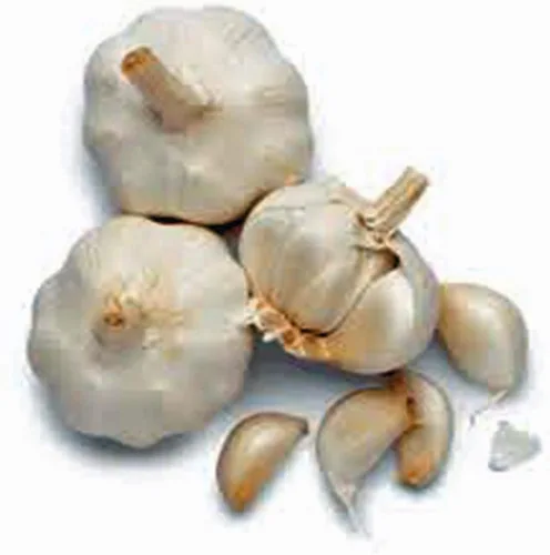 Cabeza de ajo (paquete de 3), ajo fresco de California de cuello suave para plantar y cultivar su propio ajo, compre la marca Country Creek