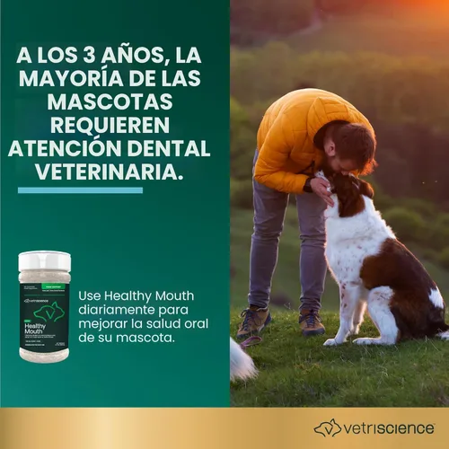 Miniatura 3 de VetriScience Polvo de cuidado dental para perros y gatos: ayuda a reducir la acumulación de placa y sarro, limpiar los dientes y un aliento más