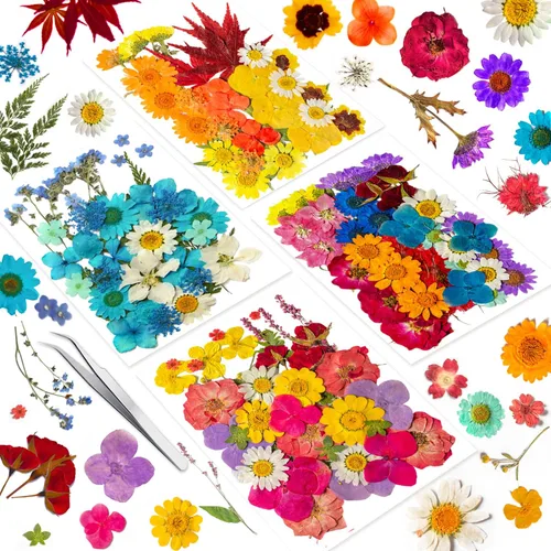 Miniatura 11 de 96 piezas de flores blancas secas y prensadas vintage para manualidades con resina - Juego de flores naturales reales de YouthBro con 50 calcomanías