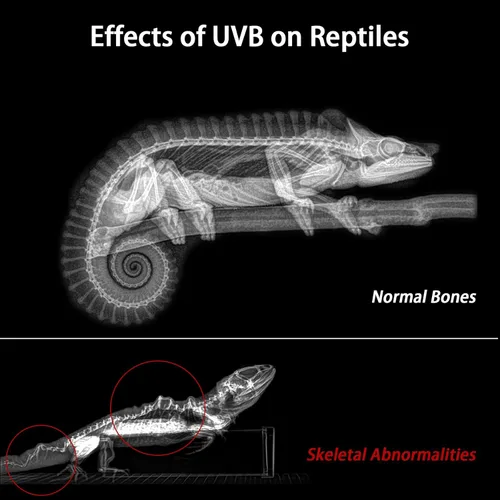 Miniatura 8 de REPTITRIP Lámpara LED UVB de 8 pulgadas para reptiles, controlador de accesorio de luz LED para reptiles con atenuación y 4 modos UVI, lámpara