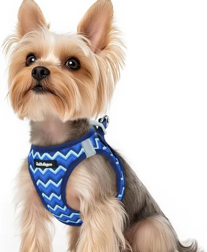 Miniatura 134 de rabbitgoo Arnés para perro pequeño, chaleco de malla suave para cachorros con hebilla de seguridad, arnés reflectante transpirable para mascotas