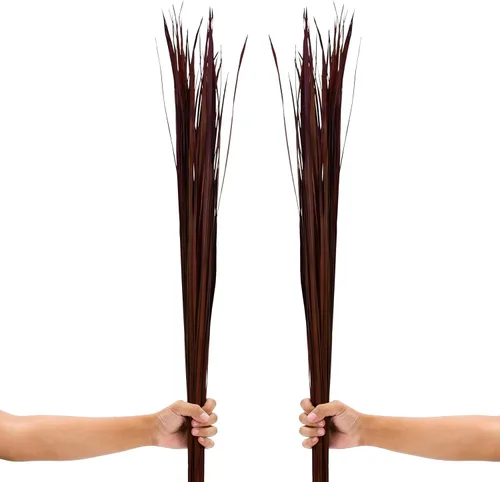 Leewadee Relleno de Jarrón Alto, Tallos de Hierba Natural – 2 Manojos de Ramas de Colores para Jarrones, Ramitas Cuidadosamente Secas para Burdeos