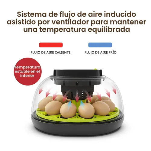 Miniatura 2 de Incubadoras para incubar huevos incubadora de 12 huevos con giro automático de huevos y control de humedad, vela de huevo, reposición automática