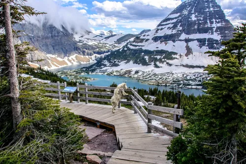 Miniatura 6 de Wonderscapes - Parque Nacional Banff - Lago Moraine - Rompecabezas de 1000 piezas, 27.55 x 19.68 pulgadas