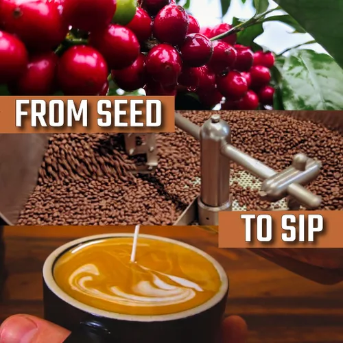 Miniatura 4 de KONA EARTH 100% Café Premium Kona, Tostado Medio Oscuro, Grano Entero (227 gramos) Café auténtico de la granja directa de la Isla Grande de Hawái