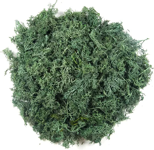 Miniatura 14 de Musgo falso de 3.5 onzas para plantas de interior, musgo blanco artificial realista preservado para manualidades, musgo de reno para centros de mesa
