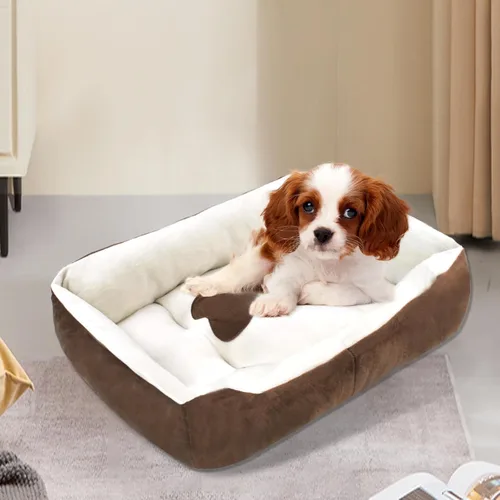 Miniatura 4 de Camas para perros pequeños, camas rectangulares para gatos de interior, cama lavable de 20 x 15 x 6 pulgadas para mascotas con lateral y parte