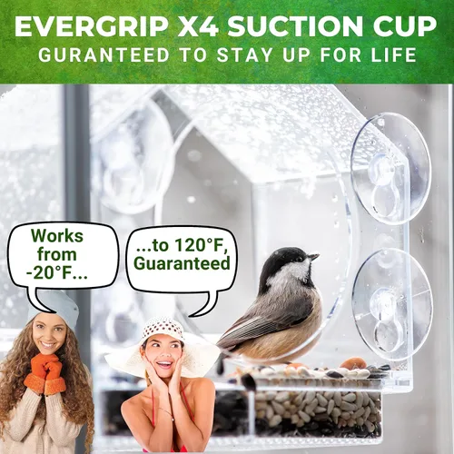 Miniatura 5 de Nature Everywhere. Comedero de aves para vidrio (tamaño grande) Edición de regalo para días feriados Incluye una charola de fácil remoción, 4