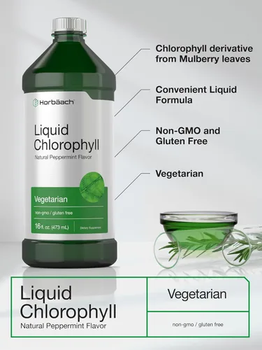 Miniatura 4 de Horbäach Clorofila líquida 100 mg 32 onzas líquidas (2 botellas de 16 onzas líquidas) Gotas naturales con sabor a menta Fórmula