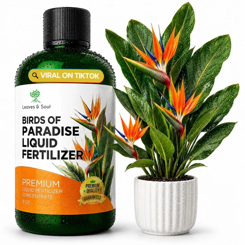 Miniatura 21 de Fertilizante líquido profesional para bambú de la suerte Concentrado 3-1-2 para plantas con flores Mezcla multiusos y suministros de jardinería