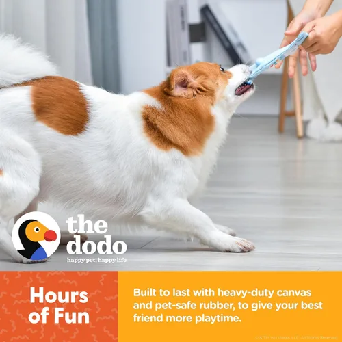 Miniatura 5 de The Dodo Woodland Animals - Juego de 2 juguetes para perros sin relleno: oso y árbol; juguete para perros sin peluche chirriante + juguete Oso