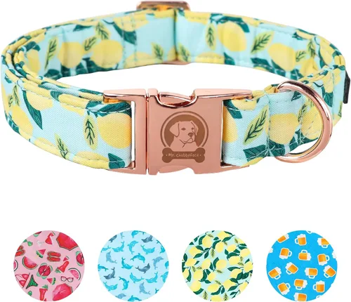 MR.CHUBBYFACE· Collar de perro de primavera y verano, lindos collares de perro de limón verde, collar ajustable de tela natural suave para perros